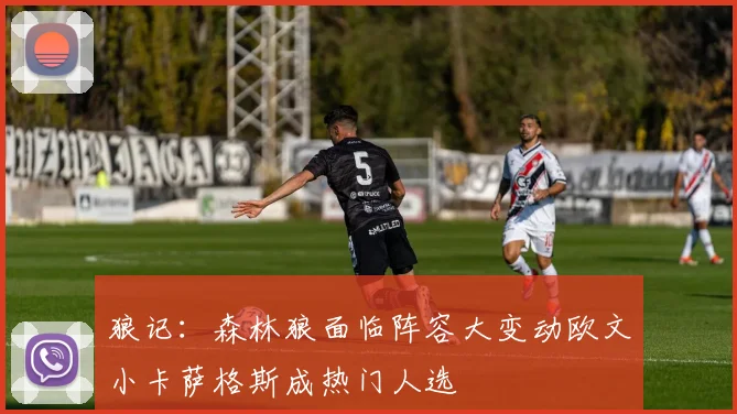 狼记：森林狼面临阵容大变动欧文小卡萨格斯成热门人选